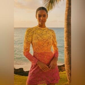 NWT Elliatt Mesmerizing Ombré Lace Mini Dress Small
